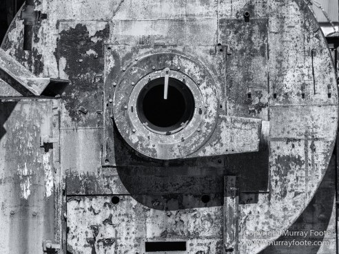 Albatross, Antarctic Tern, Black and White, Elephant seals, Fur seal, King Penguins, Landscape, Monochrome, Nature, Photography, seascape, South Georgia, Travel, Wilderness, Wildlife