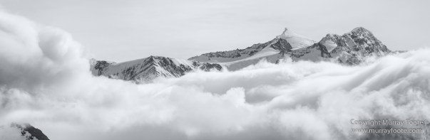Black and White, Elephant seals, Giant Petrel, Icebergs, King Penguins, Landscape, Monochrome, Nature, Photography, Rockhopper Penguins, seascape, South Georgia, Travel, Wilderness, Wildlife