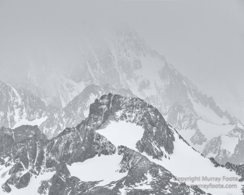 Black and White, Elephant seals, Giant Petrel, Icebergs, King Penguins, Landscape, Monochrome, Nature, Photography, Rockhopper Penguins, seascape, South Georgia, Travel, Wilderness, Wildlife