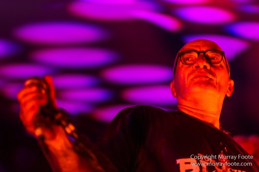 19 Twenty, Arc Riders, Australia, Blues, Ginhouse Bluesband, Live Music, Photography, Thirroul, Tomcat Playground, Tony Cini, Travel