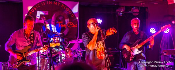 19 Twenty, Arc Riders, Australia, Blues, Ginhouse Bluesband, Live Music, Photography, Thirroul, Tomcat Playground, Tony Cini, Travel