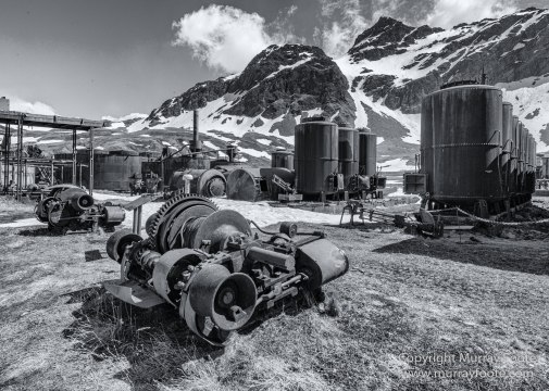 Albatross, Antarctic Tern, Black and White, Elephant seals, Fur seal, King Penguins, Landscape, Monochrome, Nature, Photography, seascape, South Georgia, Travel, Wilderness, Wildlife
