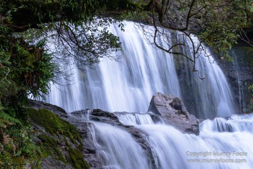 Australia, Landscape, Liffey Falls, Nature, Photography, Tasmania, Travel, Waterfall, Wilderness