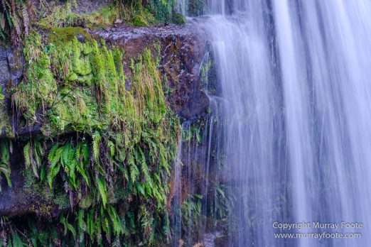 Australia, Landscape, Liffey Falls, Nature, Photography, Tasmania, Travel, Waterfall, Wilderness