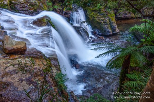 Australia, Landscape, Liffey Falls, Nature, Photography, Tasmania, Travel, Waterfall, Wilderness