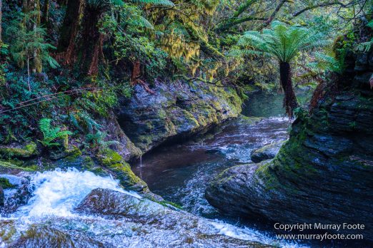 Australia, Landscape, Liffey Falls, Nature, Photography, Tasmania, Travel, Waterfall, Wilderness