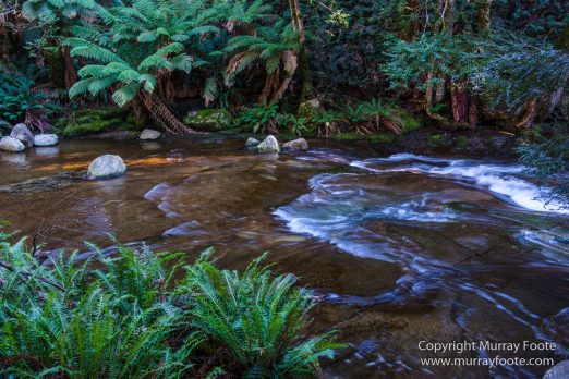 Australia, Landscape, Liffey Falls, Nature, Photography, Tasmania, Travel, Waterfall, Wilderness