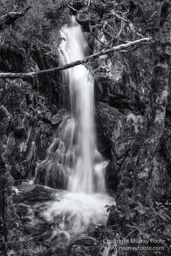 Australia, Black and White, Landscape, Monochrome, Nature, Overland Track, Photography, Tasmania, Travel, Wilderness