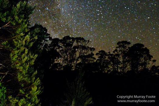 Australia, Landscape, Nature, Overland Track, Pelion Plains, Photography, Pine Forest Moor, Tasmania, Travel, Waterfall, Wilderness