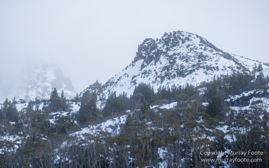 Australia, Cathedral Mountain, Ducane Range, Kia Ora Hut, Landscape, Mount Doris, Mount Ossa, Nature, Overland Track, Pelion East, Pelion Gap, Photography, Tasmania, Travel, Wilderness