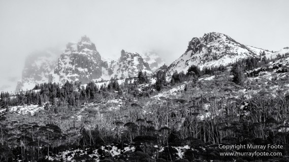 Australia, Black and White, Landscape, Monochrome, Nature, Overland Track, Photography, Tasmania, Travel, Wilderness