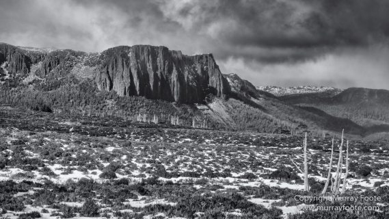 Australia, Black and White, Landscape, Monochrome, Nature, Overland Track, Photography, Tasmania, Travel, Wilderness