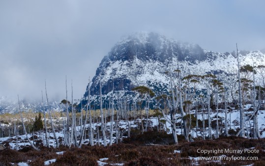 Australia, Cathedral Mountain, Ducane Range, Kia Ora Hut, Landscape, Mount Doris, Mount Ossa, Nature, Overland Track, Pelion East, Pelion Gap, Photography, Tasmania, Travel, Wilderness