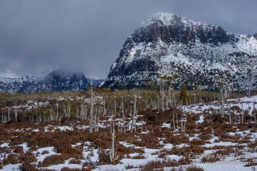 Australia, Cathedral Mountain, Ducane Range, Kia Ora Hut, Landscape, Mount Doris, Mount Ossa, Nature, Overland Track, Pelion East, Pelion Gap, Photography, Tasmania, Travel, Wilderness