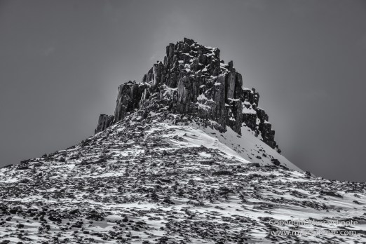 Australia, Black and White, Landscape, Monochrome, Nature, Overland Track, Photography, Tasmania, Travel, Wilderness
