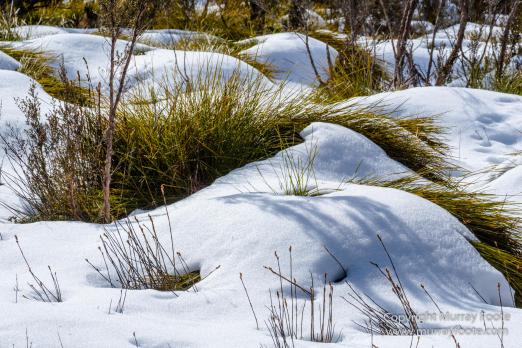 Australia, Cathedral Mountain, Ducane Range, Kia Ora Hut, Landscape, Mount Doris, Mount Ossa, Nature, Overland Track, Pelion East, Pelion Gap, Photography, Tasmania, Travel, Wilderness