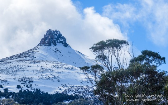Australia, Cathedral Mountain, Ducane Range, Kia Ora Hut, Landscape, Mount Doris, Mount Ossa, Nature, Overland Track, Pelion East, Pelion Gap, Photography, Tasmania, Travel, Wilderness