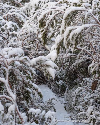 Australia, Bert Nichols Hut, Landscape, Narcissus Bay, Nature, Overland Track, Photography, Tasmania, Travel, Wilderness