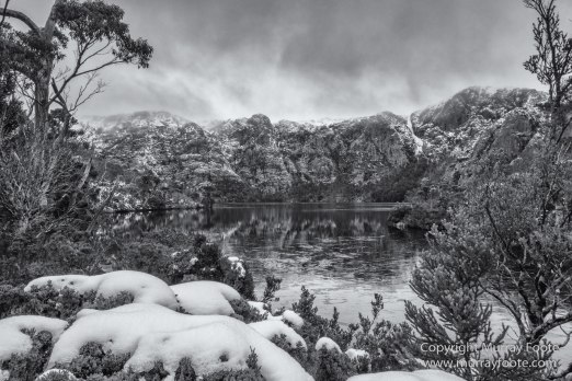 Australia, Black and White, Landscape, Monochrome, Nature, Overland Track, Photography, Tasmania, Travel, Wilderness