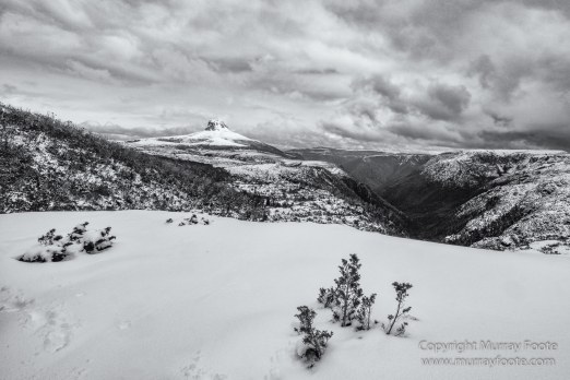 Australia, Black and White, Landscape, Monochrome, Nature, Overland Track, Photography, Tasmania, Travel, Wilderness