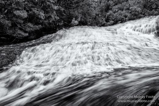 Australia, Black and White, Landscape, Monochrome, Nature, Overland Track, Photography, Tasmania, Travel, Wilderness