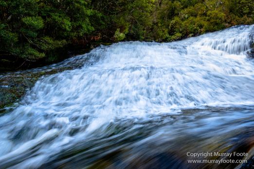 Australia, Landscape, Nature, Overland Track, Pelion Plains, Photography, Tasmania, Travel, Waterfall, Wilderness