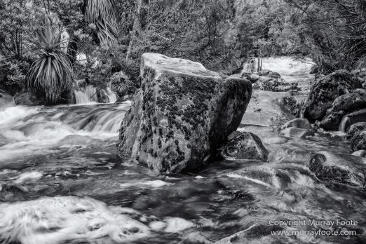 Australia, Black and White, Landscape, Monochrome, Nature, Overland Track, Photography, Tasmania, Travel, Wilderness