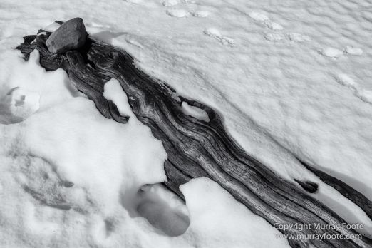 Australia, Black and White, Landscape, Monochrome, Nature, Overland Track, Photography, Tasmania, Travel, Wilderness