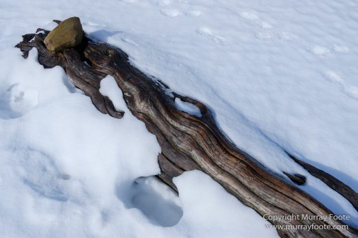 Australia, Cathedral Mountain, Ducane Range, Kia Ora Hut, Landscape, Mount Doris, Mount Ossa, Nature, Overland Track, Pelion East, Pelion Gap, Photography, Tasmania, Travel, Wilderness