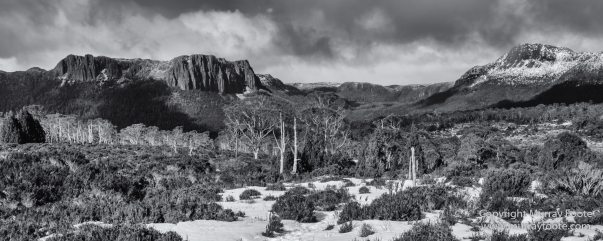 Australia, Black and White, Landscape, Monochrome, Nature, Overland Track, Photography, Tasmania, Travel, Wilderness