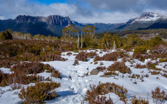 Australia, Cathedral Mountain, Ducane Range, Kia Ora Hut, Landscape, Mount Doris, Mount Ossa, Nature, Overland Track, Pelion East, Pelion Gap, Photography, Tasmania, Travel, Wilderness
