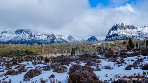 Australia, Cathedral Mountain, Ducane Range, Kia Ora Hut, Landscape, Mount Doris, Mount Ossa, Nature, Overland Track, Pelion East, Pelion Gap, Photography, Tasmania, Travel, Wilderness