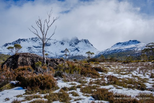 Australia, Cathedral Mountain, Ducane Range, Kia Ora Hut, Landscape, Mount Doris, Mount Ossa, Nature, Overland Track, Pelion East, Pelion Gap, Photography, Tasmania, Travel, Wilderness