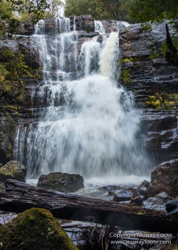 Australia, Cathedral Mountain, Landscape, Macro, Nature, Overland Track, Pelion Hut, Photography, Tasmania, Travel, Waterfall, Wilderness