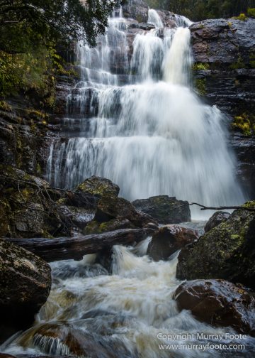 Australia, Cathedral Mountain, Landscape, Macro, Nature, Overland Track, Pelion Hut, Photography, Tasmania, Travel, Waterfall, Wilderness