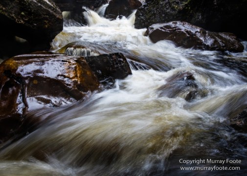 Australia, Cathedral Mountain, Landscape, Macro, Nature, Overland Track, Pelion Hut, Photography, Tasmania, Travel, Waterfall, Wilderness