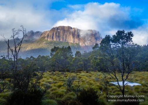 Australia, Cathedral Mountain, Landscape, Macro, Nature, Overland Track, Pelion Hut, Photography, Tasmania, Travel, Waterfall, Wilderness