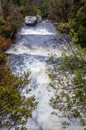 Australia, Bert Nichols Hut, Fergusson Falls, Kia Ora Hut, Landscape, Macro, Nature, Overland Track, Photography, Tasmania, Travel, Waterfall, Wilderness