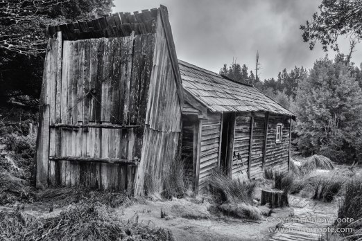 Australia, Black and White, Landscape, Macro, Monochrome, Nature, Overland Track, Photography, Tasmania, Travel, Wilderness
