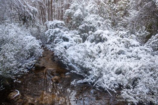 Australia, Bert Nichols Hut, Landscape, Narcissus Bay, Nature, Overland Track, Photography, Tasmania, Travel, Wilderness