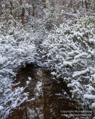 Australia, Bert Nichols Hut, Landscape, Narcissus Bay, Nature, Overland Track, Photography, Tasmania, Travel, Wilderness