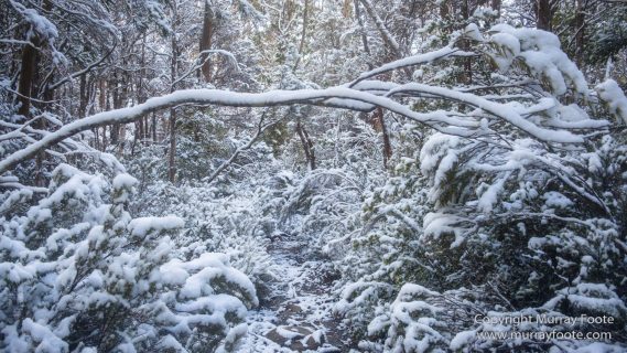 Australia, Bert Nichols Hut, Landscape, Narcissus Bay, Nature, Overland Track, Photography, Tasmania, Travel, Wilderness