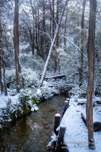 Australia, Bert Nichols Hut, Landscape, Narcissus Bay, Nature, Overland Track, Photography, Tasmania, Travel, Wilderness