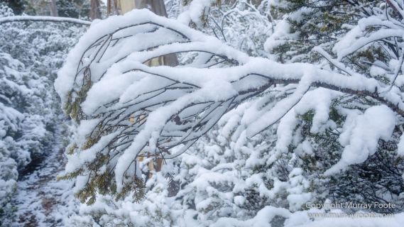 Australia, Bert Nichols Hut, Landscape, Narcissus Bay, Nature, Overland Track, Photography, Tasmania, Travel, Wilderness
