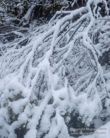 Australia, Bert Nichols Hut, Landscape, Narcissus Bay, Nature, Overland Track, Photography, Tasmania, Travel, Wilderness