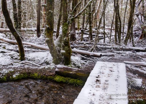 Australia, Bert Nichols Hut, Landscape, Narcissus Bay, Nature, Overland Track, Photography, Tasmania, Travel, Wilderness