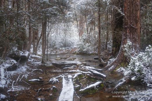 Australia, Bert Nichols Hut, Landscape, Narcissus Bay, Nature, Overland Track, Photography, Tasmania, Travel, Wilderness