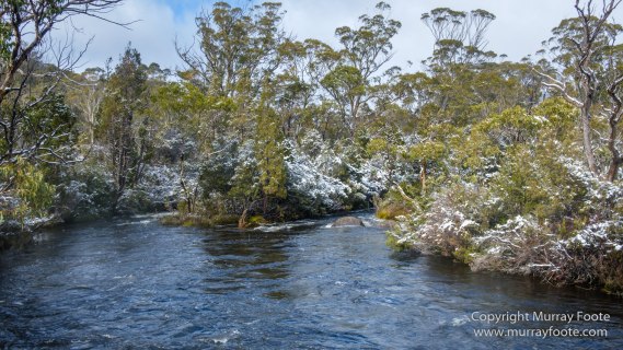 Australia, Bert Nichols Hut, Landscape, Narcissus Bay, Nature, Overland Track, Photography, Tasmania, Travel, Wilderness