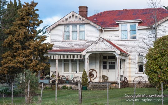 Australia, Bennett's Wallaby, Cradle Lake, Landscape, Mt Field NP, Nature, Pademelon, Photography, Russell Falls, Tasmania, Travel, Waterfall, Wilderness, Wildlife