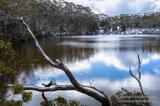 Australia, Lake Dobson, Landscape, Mt Field NP, Nature, Pandani, Photography, Tasmania, Travel, Wilderness